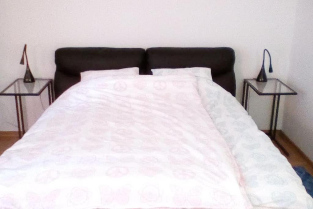 Zagreb Botanical Garden Budget Apartment エクステリア 写真