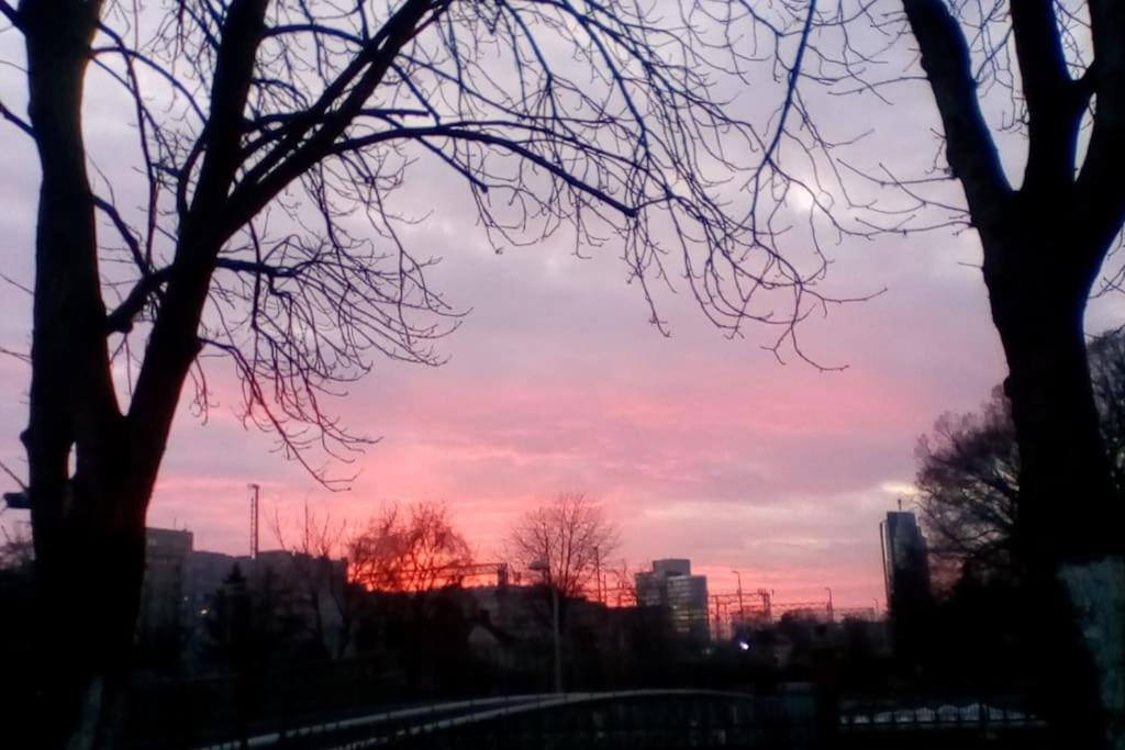 Zagreb Botanical Garden Budget Apartment エクステリア 写真